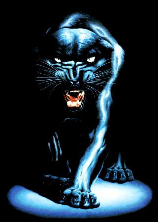 blackpanther.jpg